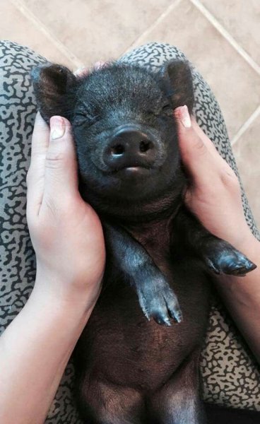 5d5da766ae25ee4add49cffd932e77b4