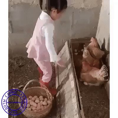 Первый раз у бабушки в деревне...