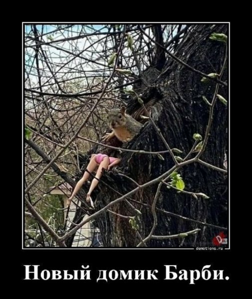 Новый домик Барби