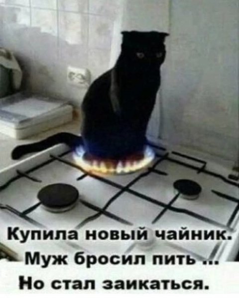 FB IMG 1776447207888