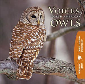 Cornell Lab of Ornithology - 55 Owl, Snowy  Male bark call