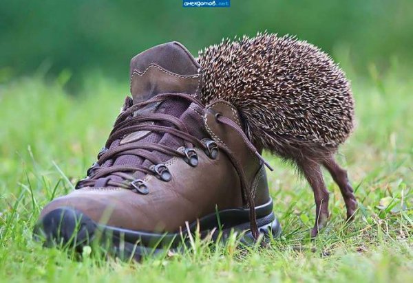 FB IMG 1469857157287