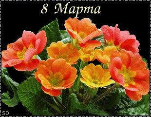 8 Марта