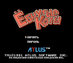 Ebnutie koty