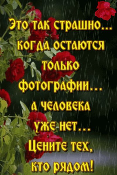 IMG 20210615 132430
