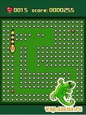 Ultimate Snake Collection