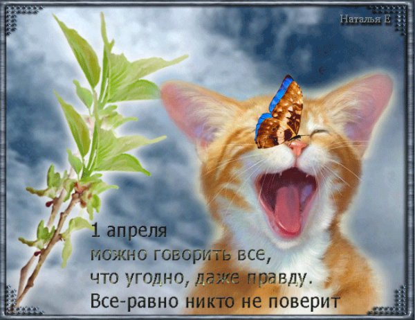 file_46436609