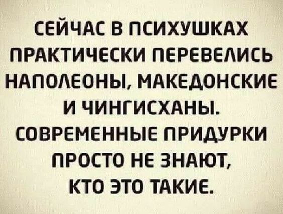 IMG 20250213 182038 422