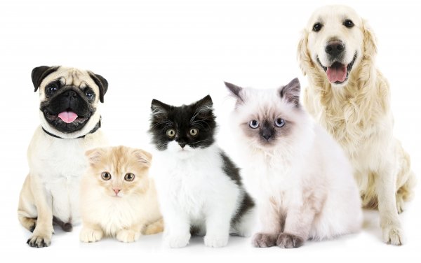 Shutterstock 372107557