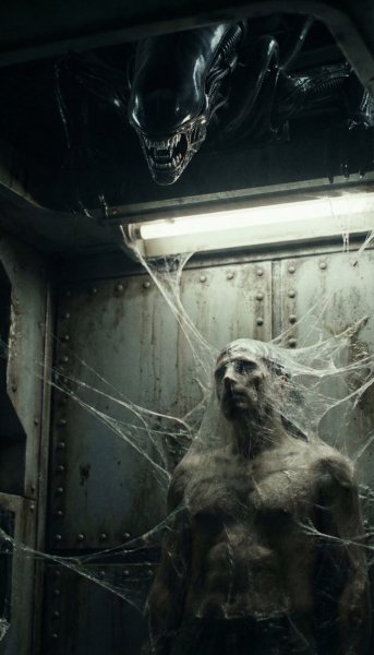 W6VE1PMDXDDCFCGGVHHBL