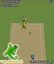 Michael Vaughan Cricket 2008