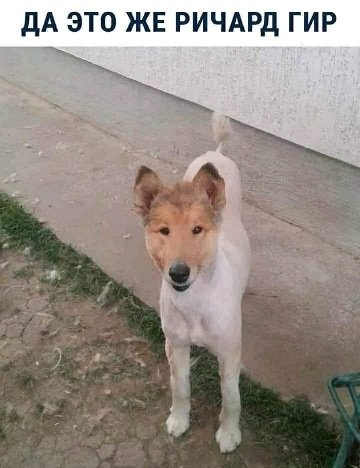 FB IMG 1615604909526