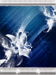 White Flower