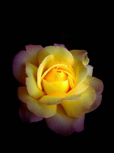 PicsArt 1537471664583