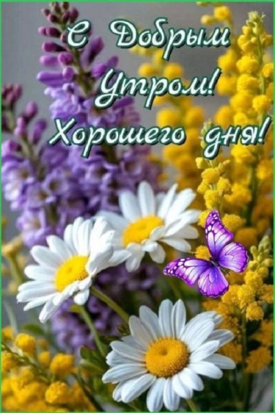 С добрым утром! Хорошего дня!