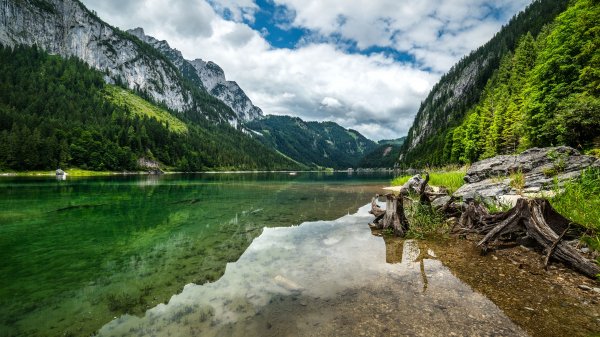 file_99650204