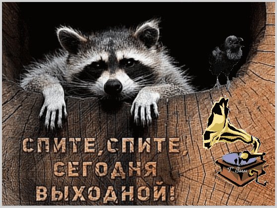 Анимированная открытка спите спите сегодня