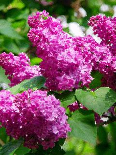 file_63104983