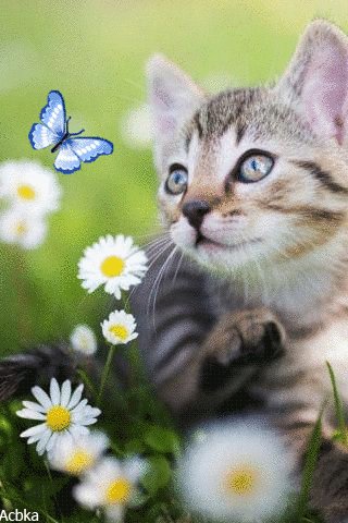 file_78657266