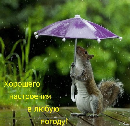 Анимированная открытка хорошего настроения