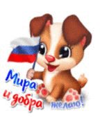Подарок