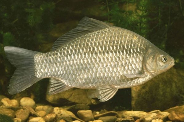 IMG 20230511 195003 612