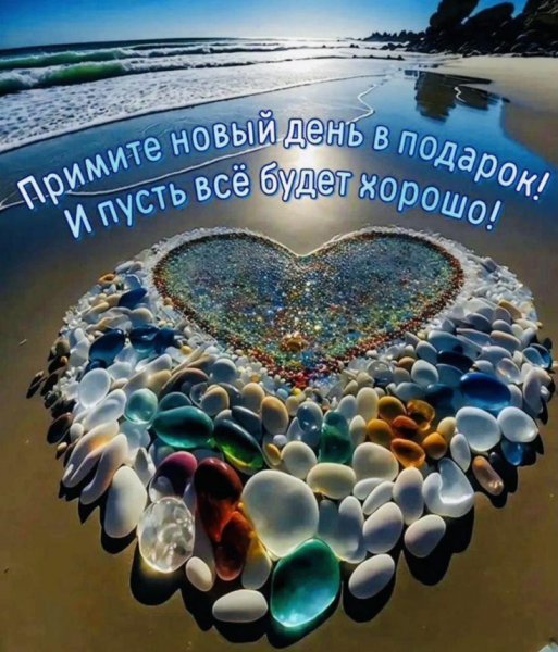 IMG 20250214 154134