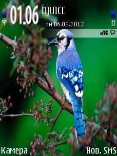 bluebirds pc4ao5cc