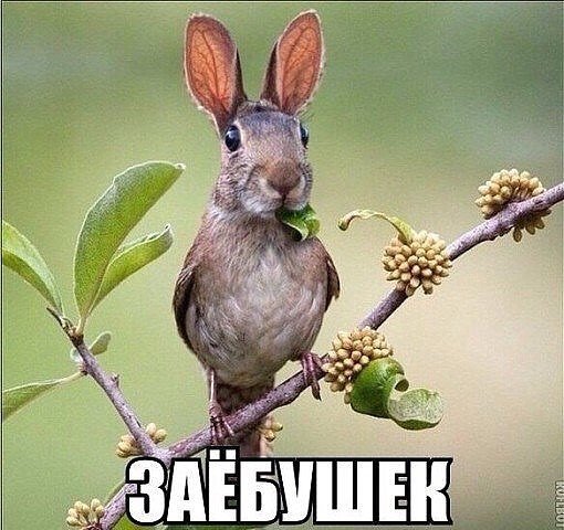 photo 1448631607