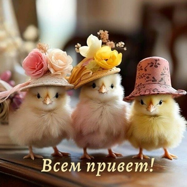 Доброе утро (335)