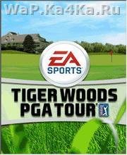 FIFA 11 + Tiger Woods PGA Tour 11