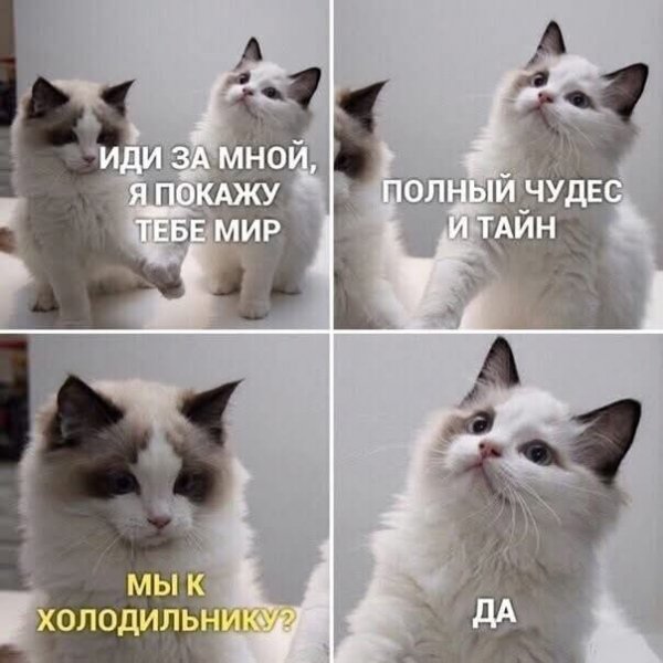 FB IMG 1774420752736