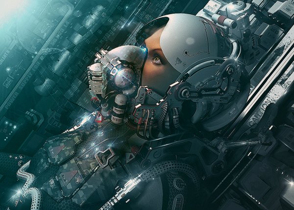 Expansion on Wargarden