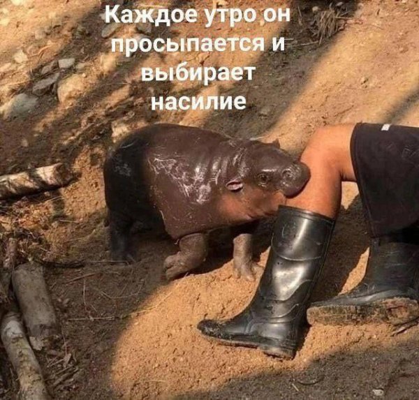 ЮМОР ПРИКОЛЫ СМЕХ (17)