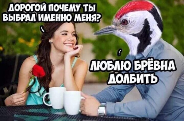 file_82234168