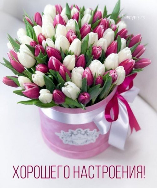 -rymKuO8ggI