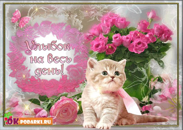 Улыбок на весь день!