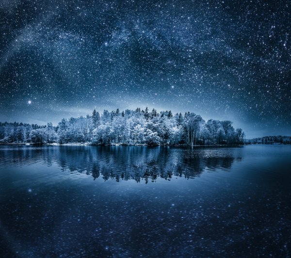 Forest frost