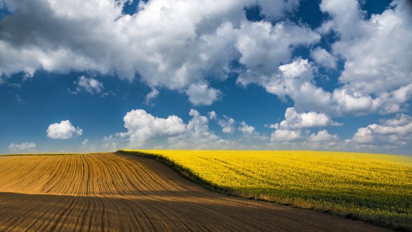 file_88067714