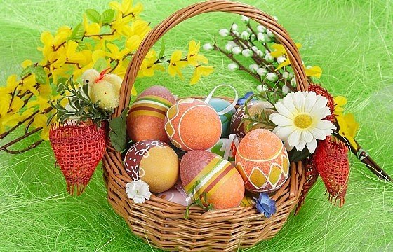 image (34)