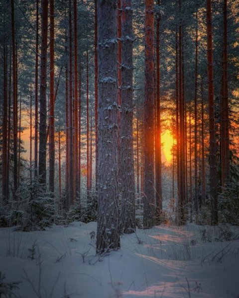 file_101553923