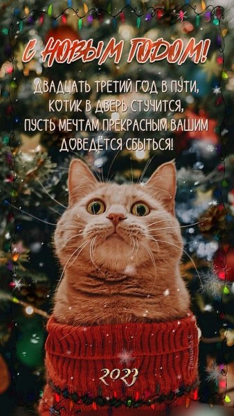 file_92366712
