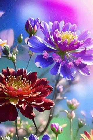 file_93591944