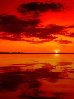 file_56150694