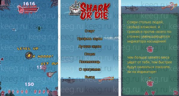 Shark Or Die 240x320RUS