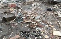 file_85148393