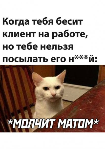 file_100892110