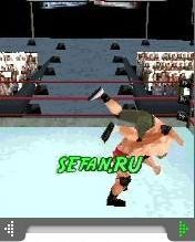 3D WWE Smackdown Vs RAW 2008 240x320