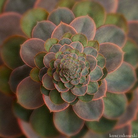 Абстракция