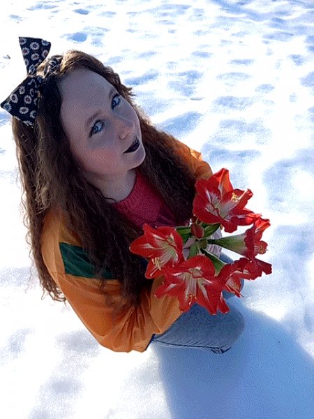 Цветы на снегу